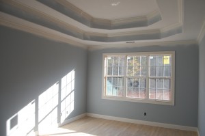 Master Bedroom  Trayed Ceiling
